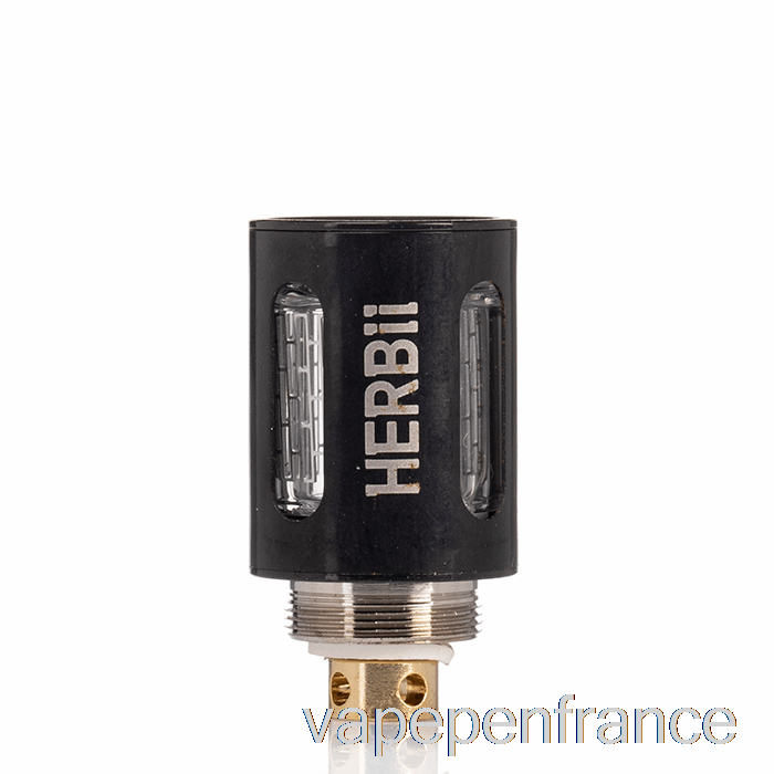 Dazzleaf Herbii Bobines De Remplacement Stylo Vape Noir